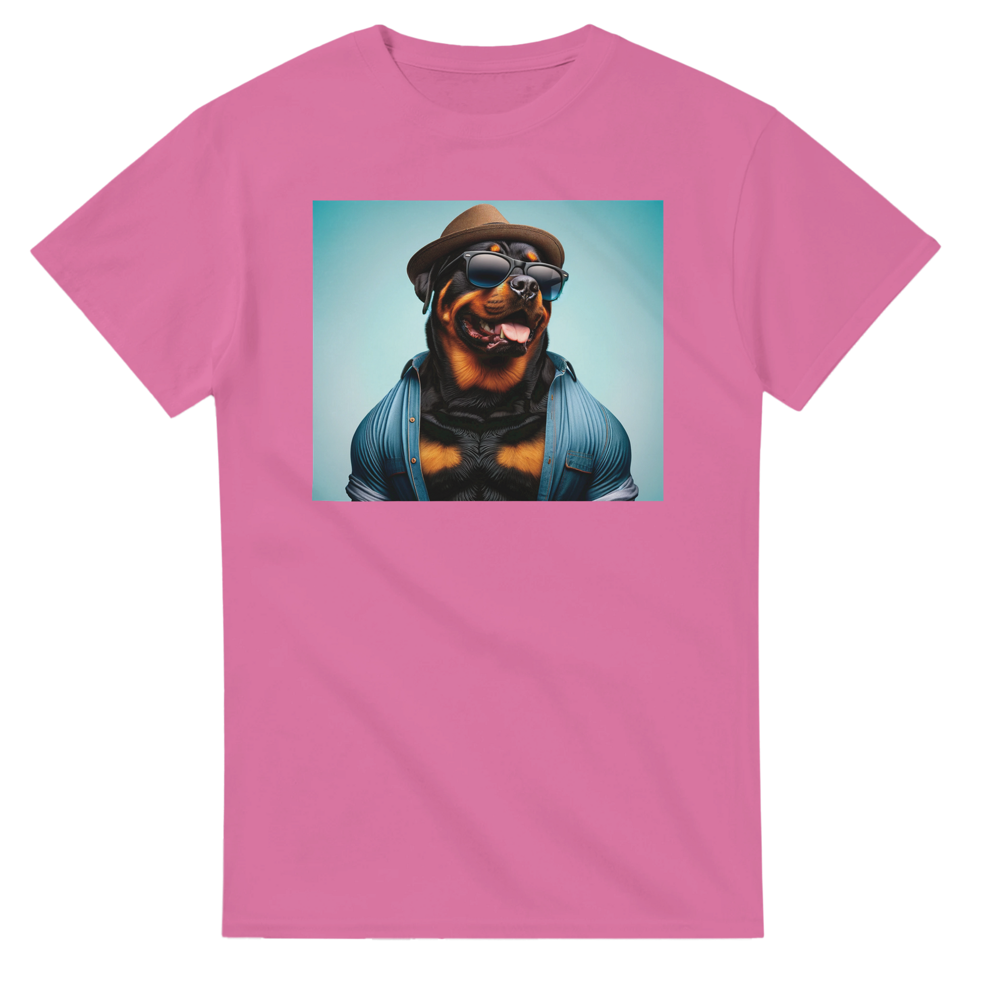 17767a0b-d254-47ea-8997-ac271f0ec13d