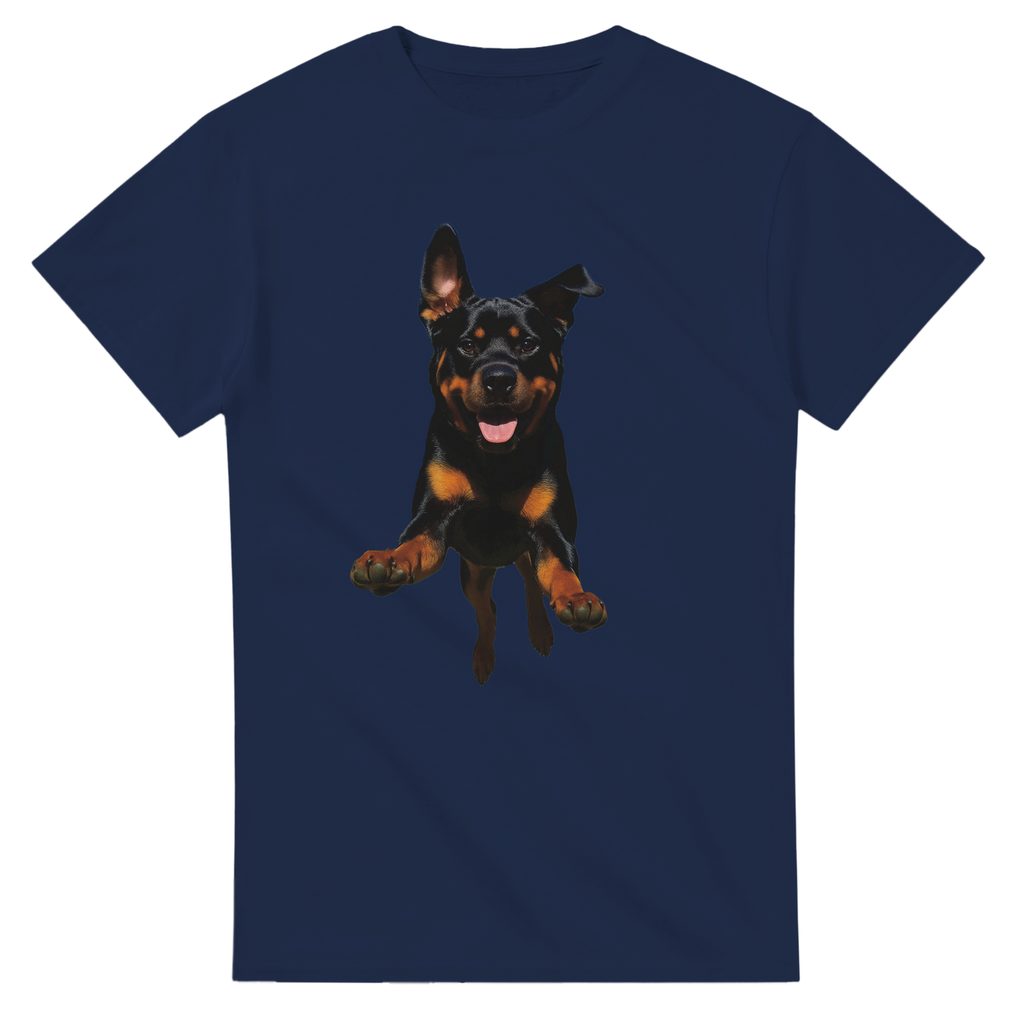 1e6dad19-f6ee-4630-9399-37faf0584822