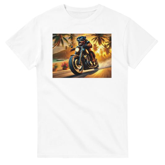 2cf66a6e-7a68-43e9-983c-3986d722cf49