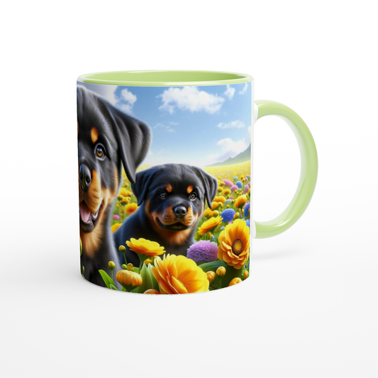 51f54e2a-5e8c-4ca3-829a-43cfa2728bb8