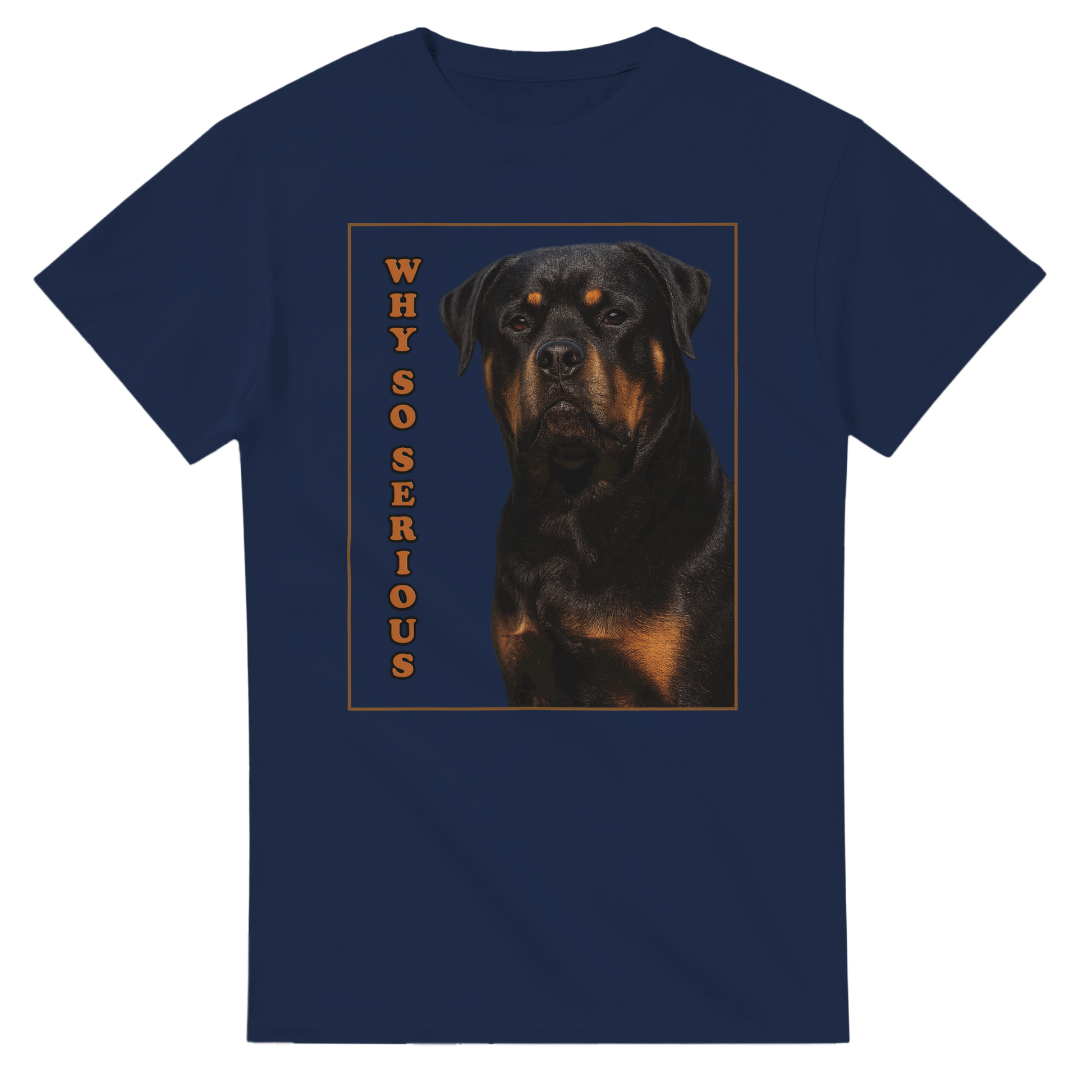 6b25d5ed-6627-4edf-9ecd-af69cc8a9269