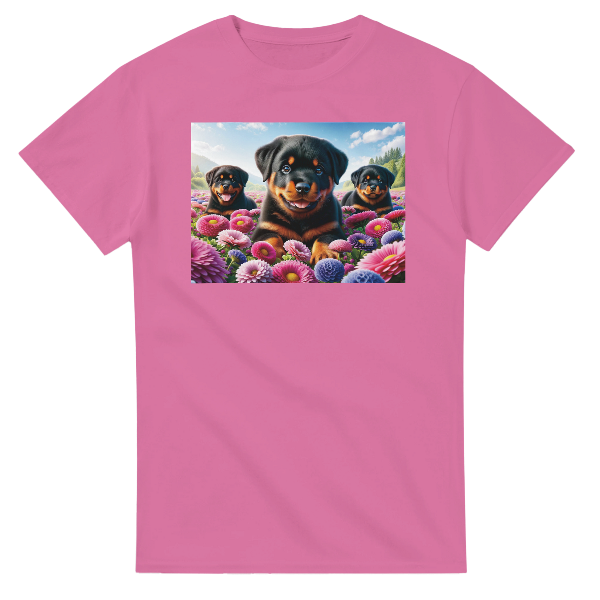 703ed964-c9a8-4a4f-9445-824d679d8387