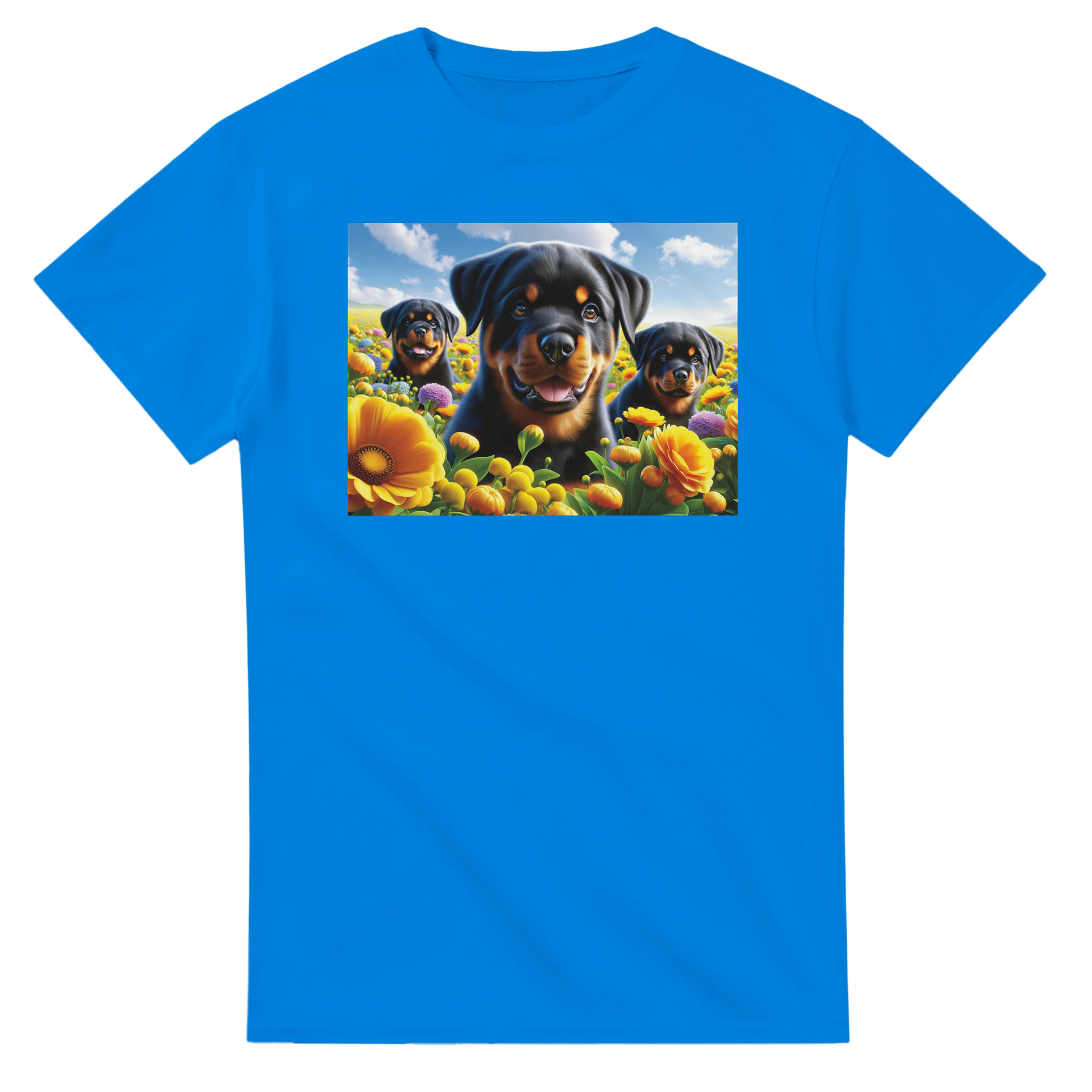 709e96da-05b7-4642-bec3-2a366b80f5d6