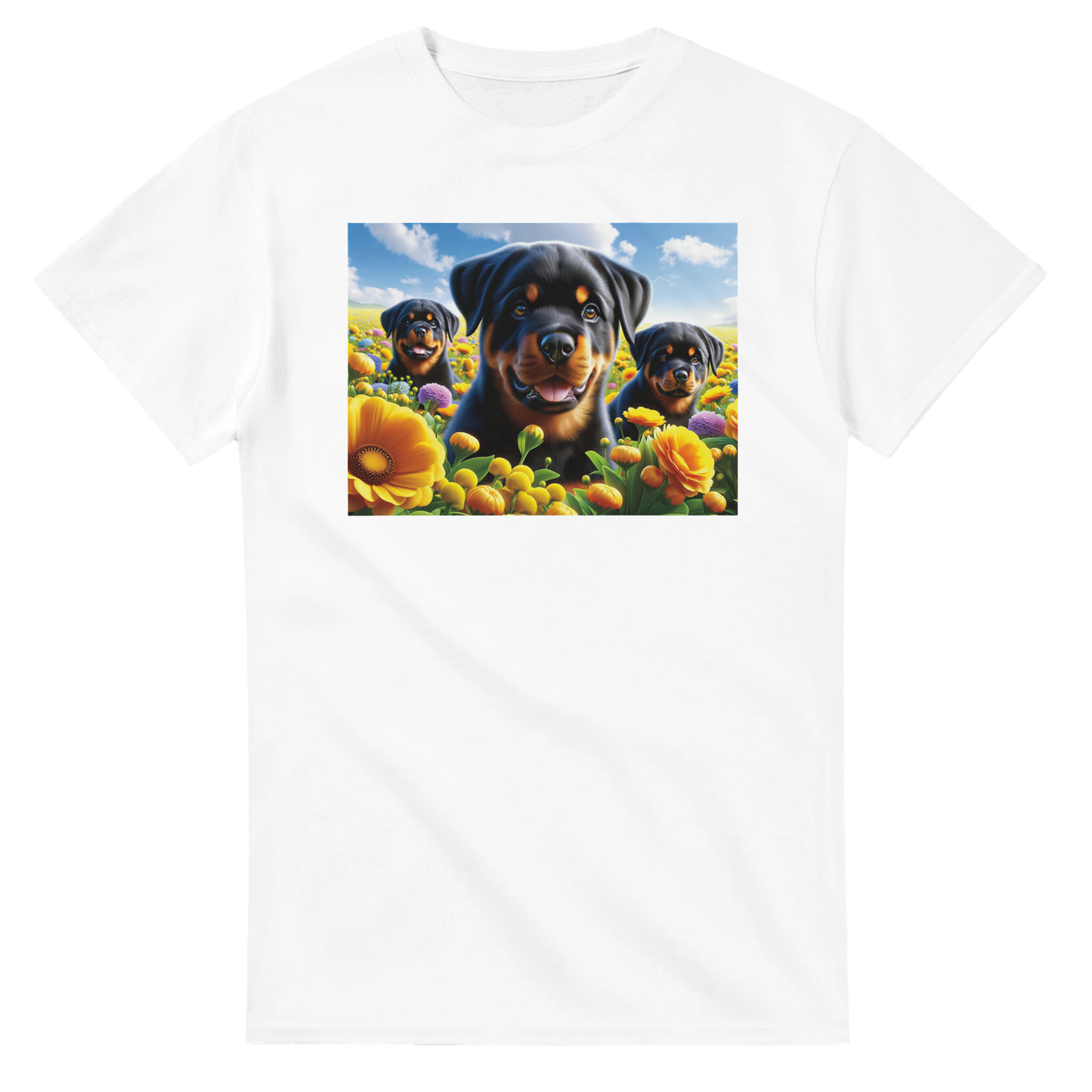 72eb43da-d9d2-44fd-90e6-c6fa5f53ac4a