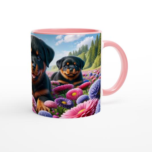 7d1c8c74-353e-4e20-afa3-66a4666b447e