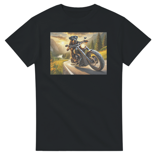 80d97a68-4d25-4f5b-acdb-b5784bc61a37