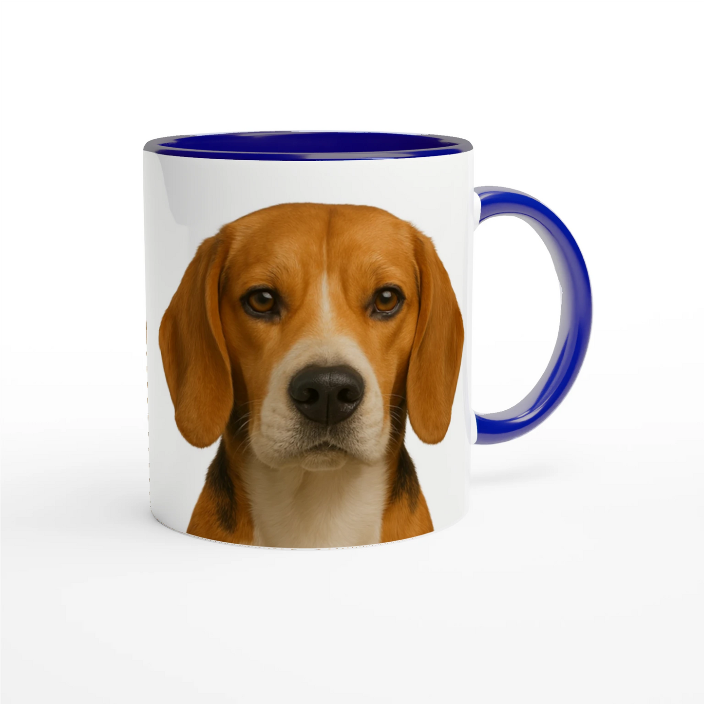 95a6ac4a-d783-46fe-b20b-c1c11bb97907