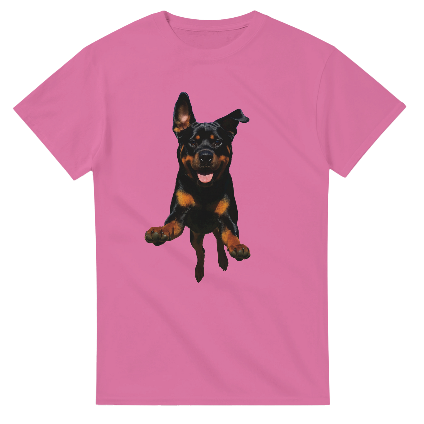 97881834-bffc-4bbc-99bf-5441871b00e4