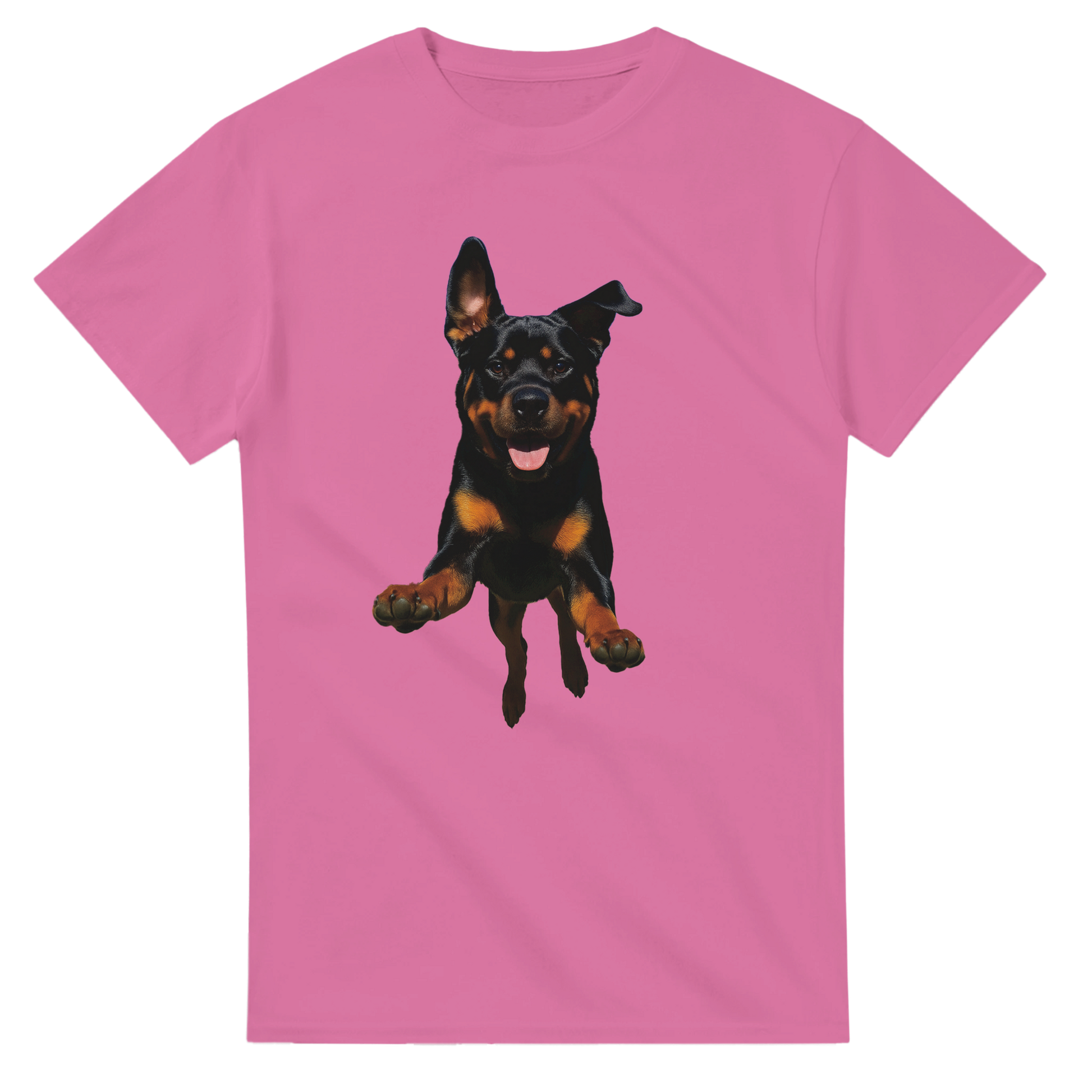 97881834-bffc-4bbc-99bf-5441871b00e4