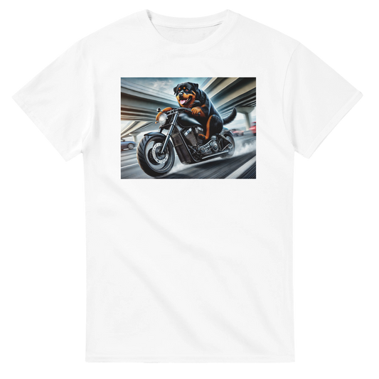 9e40a700-52c8-4839-94d1-d79af22b50ec