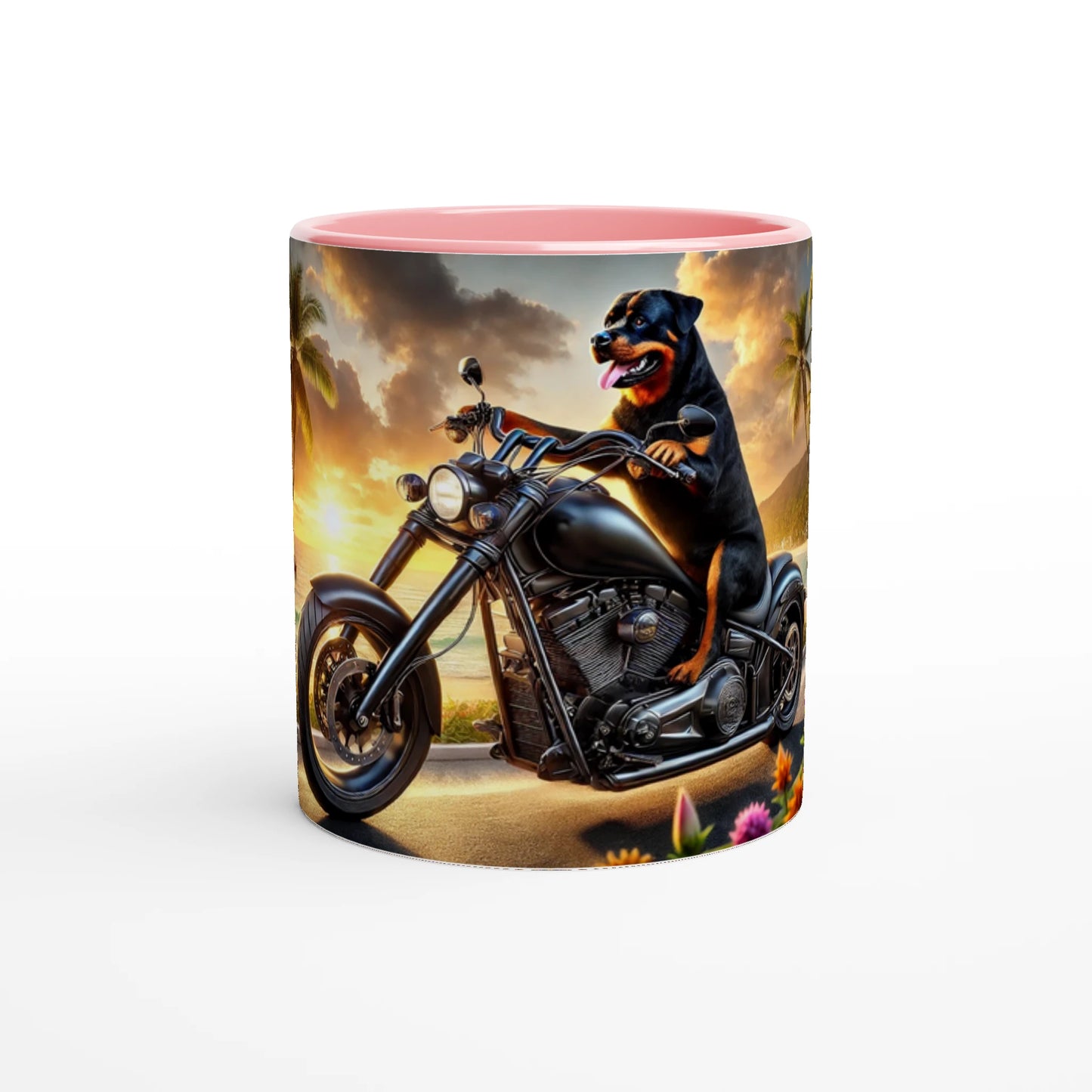 a6fcdfca-d724-4e8c-a381-86f95f5fff5e