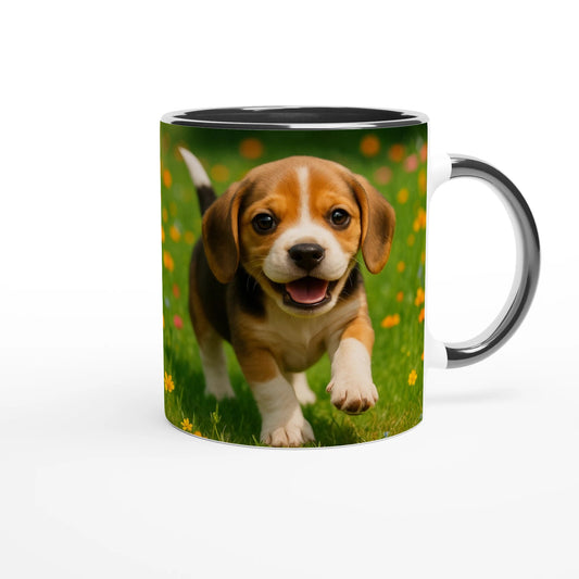 a8b6a4c9-cf50-4e0b-9cc5-fdaa0c24c968