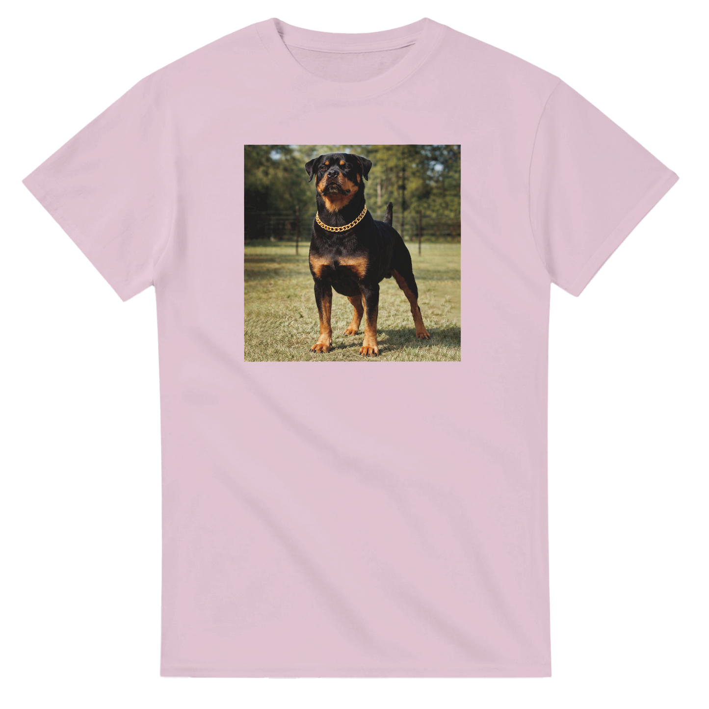 c08d0eac-01aa-4527-88fd-2c0afed57e25