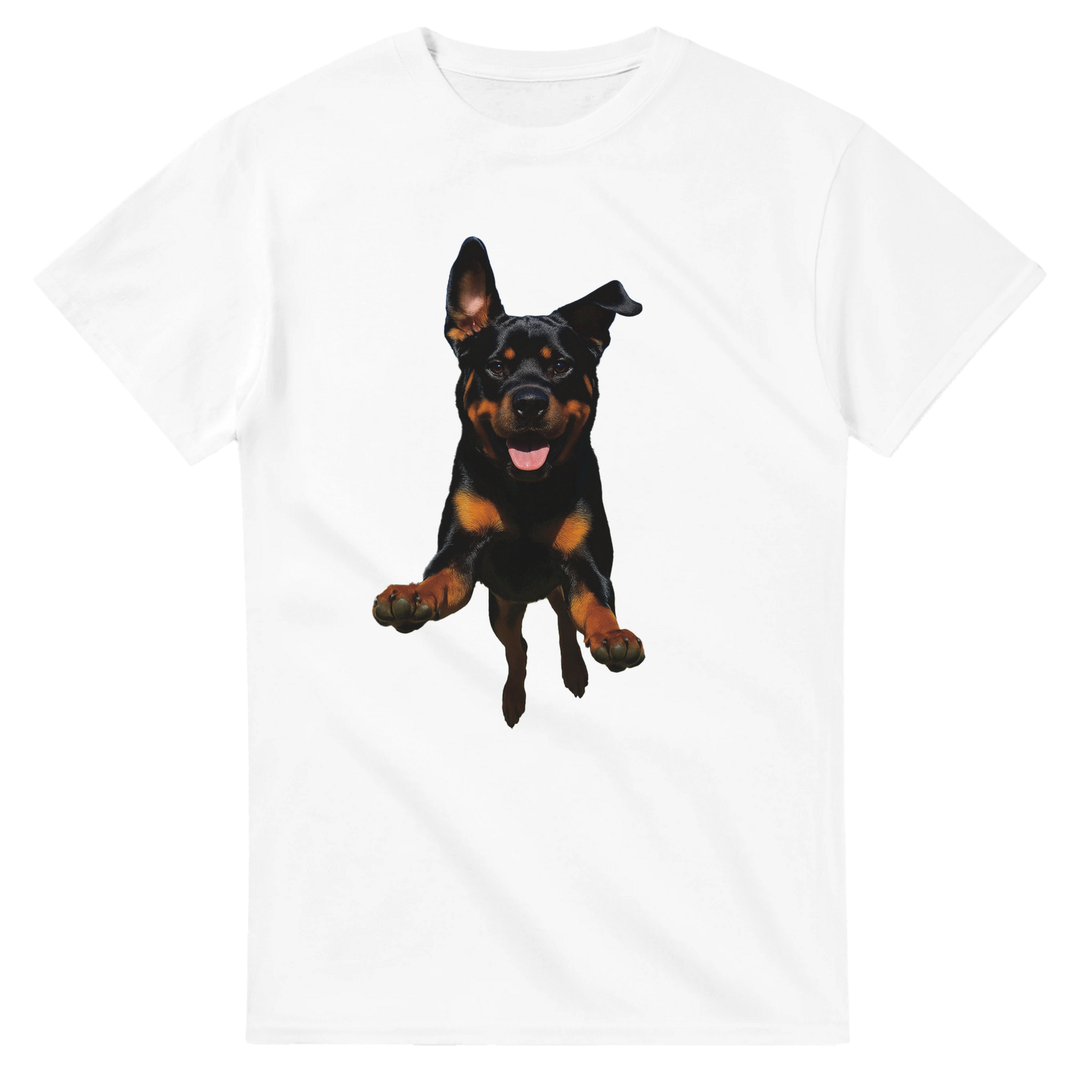 c0c5ae56-5cc5-4e5c-8f18-96e3e4c19825