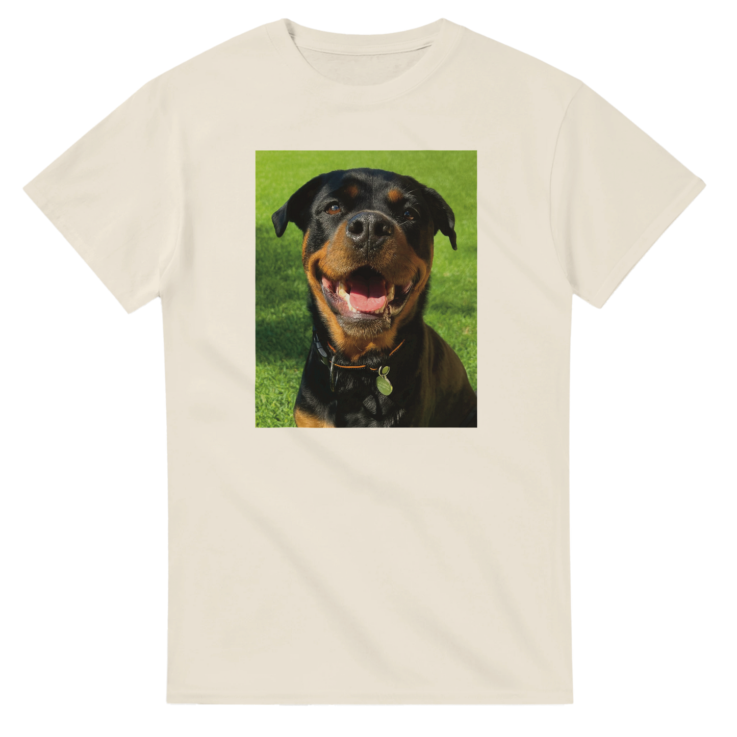 cfd414dd-6a64-4686-b6d6-d8cbd4d51cf7