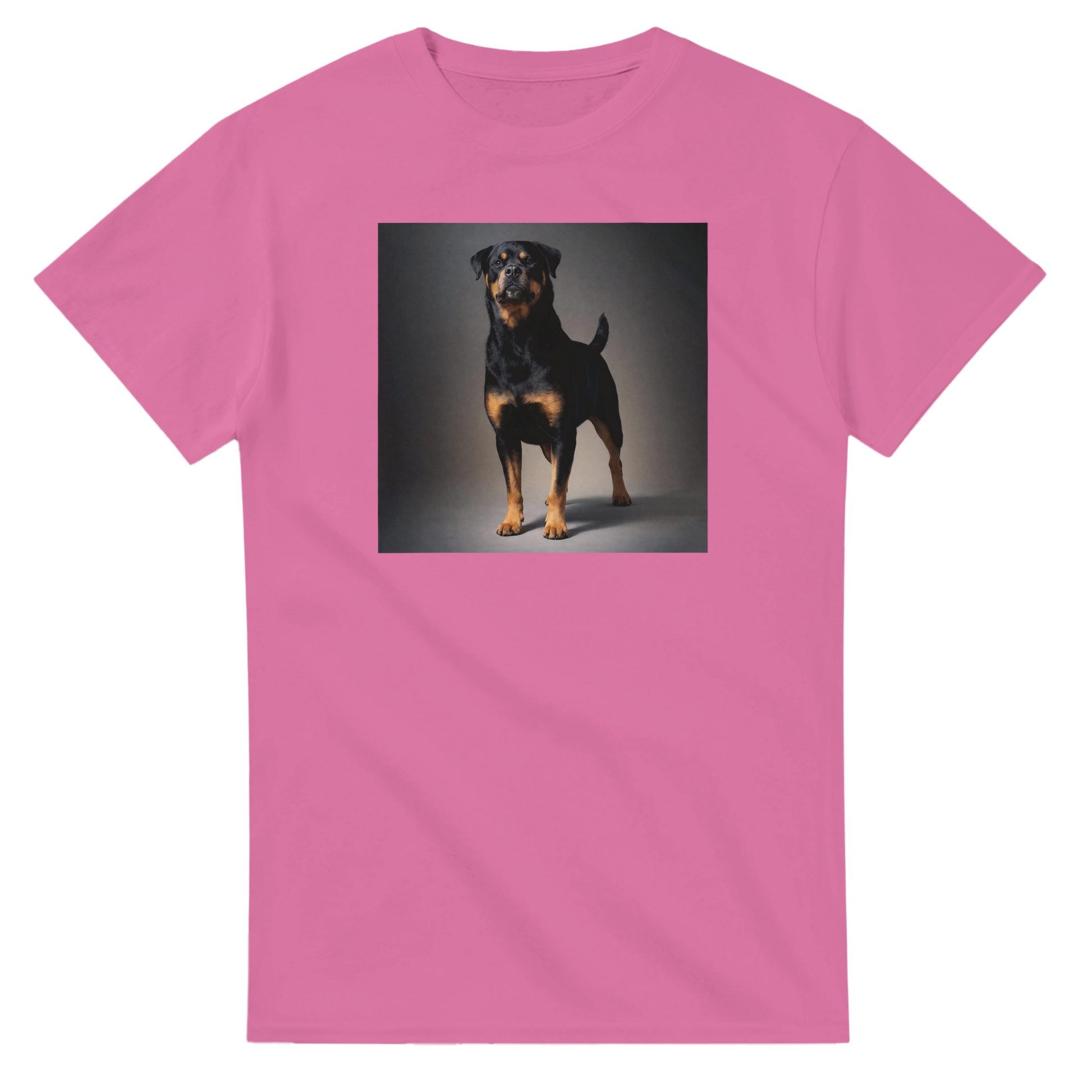 02440256-4ca1-43a7-95a1-c1a00c143448