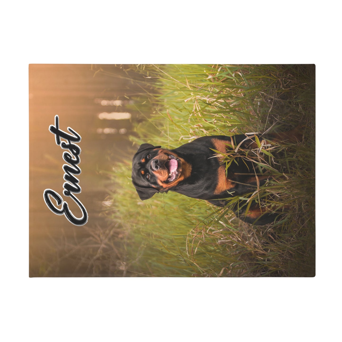 Ernest 2 - Plush Fleece Blanket