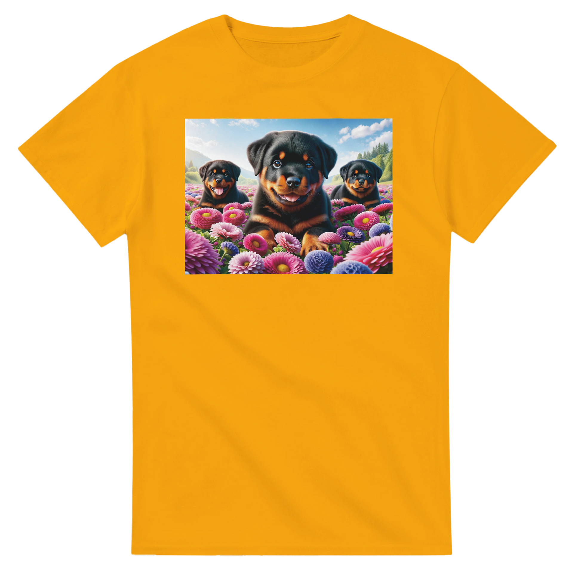 1699d15a-ed40-46ad-af7a-2ca8f09a5023