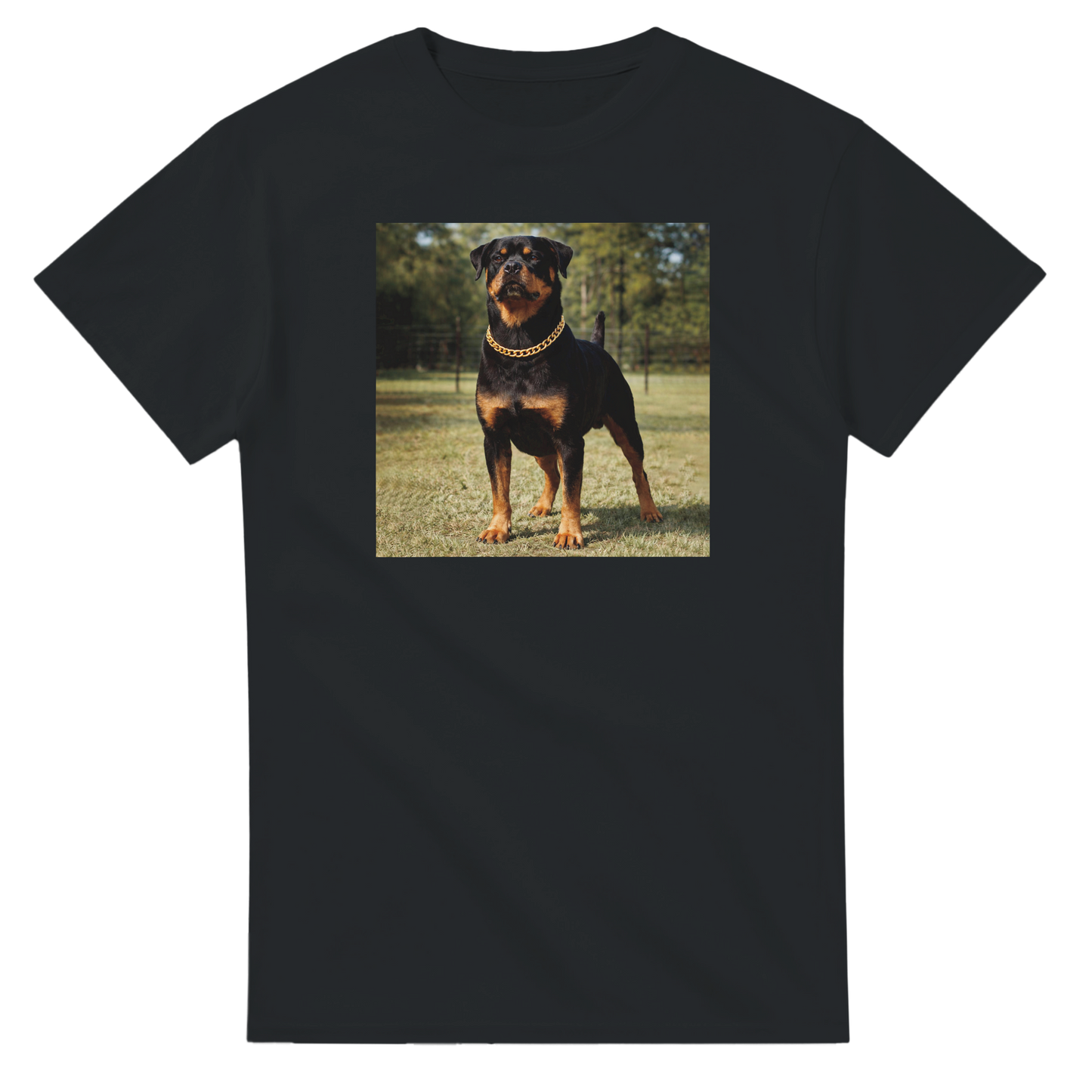 181741b6-54c2-4525-a777-59c36f155493