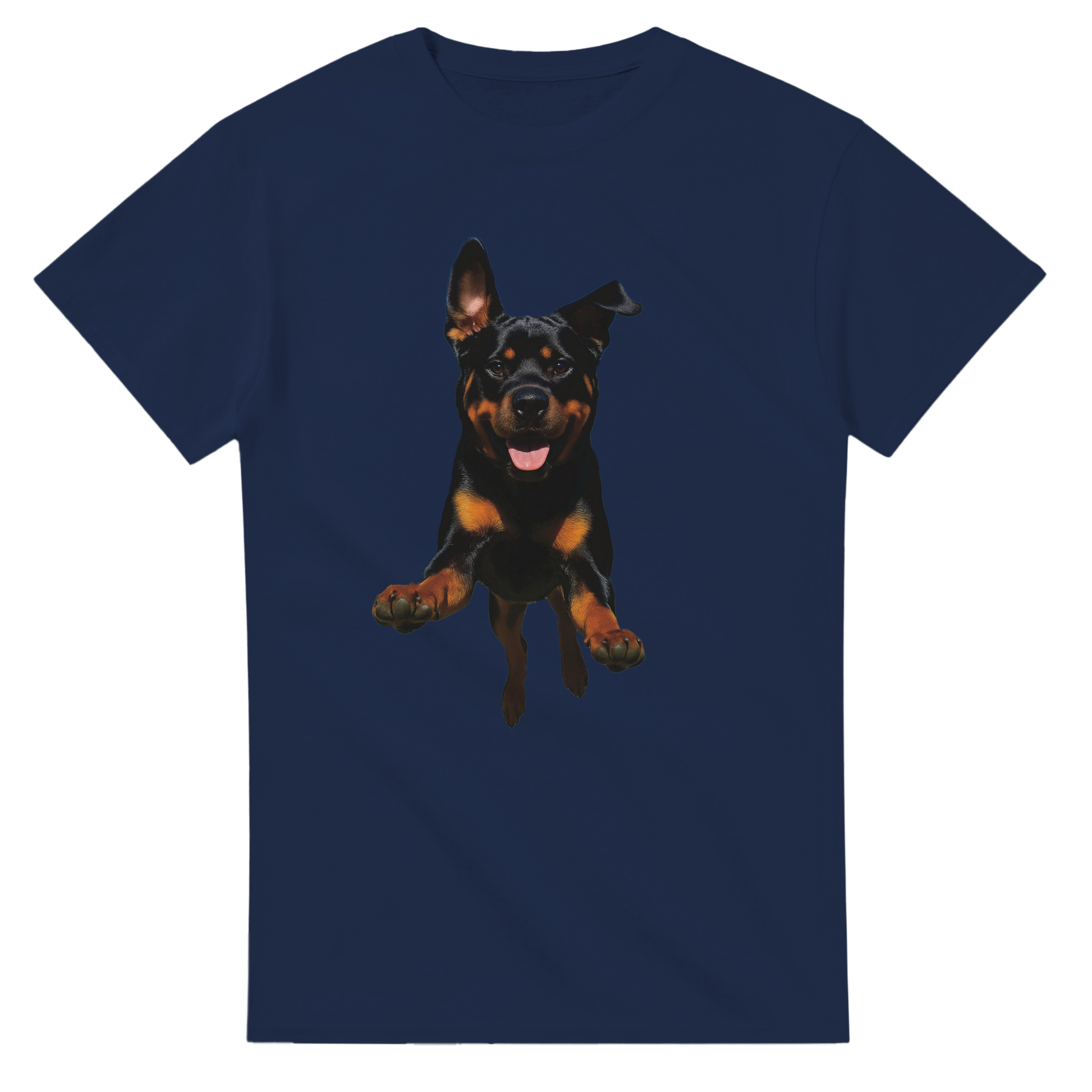 1e6dad19-f6ee-4630-9399-37faf0584822