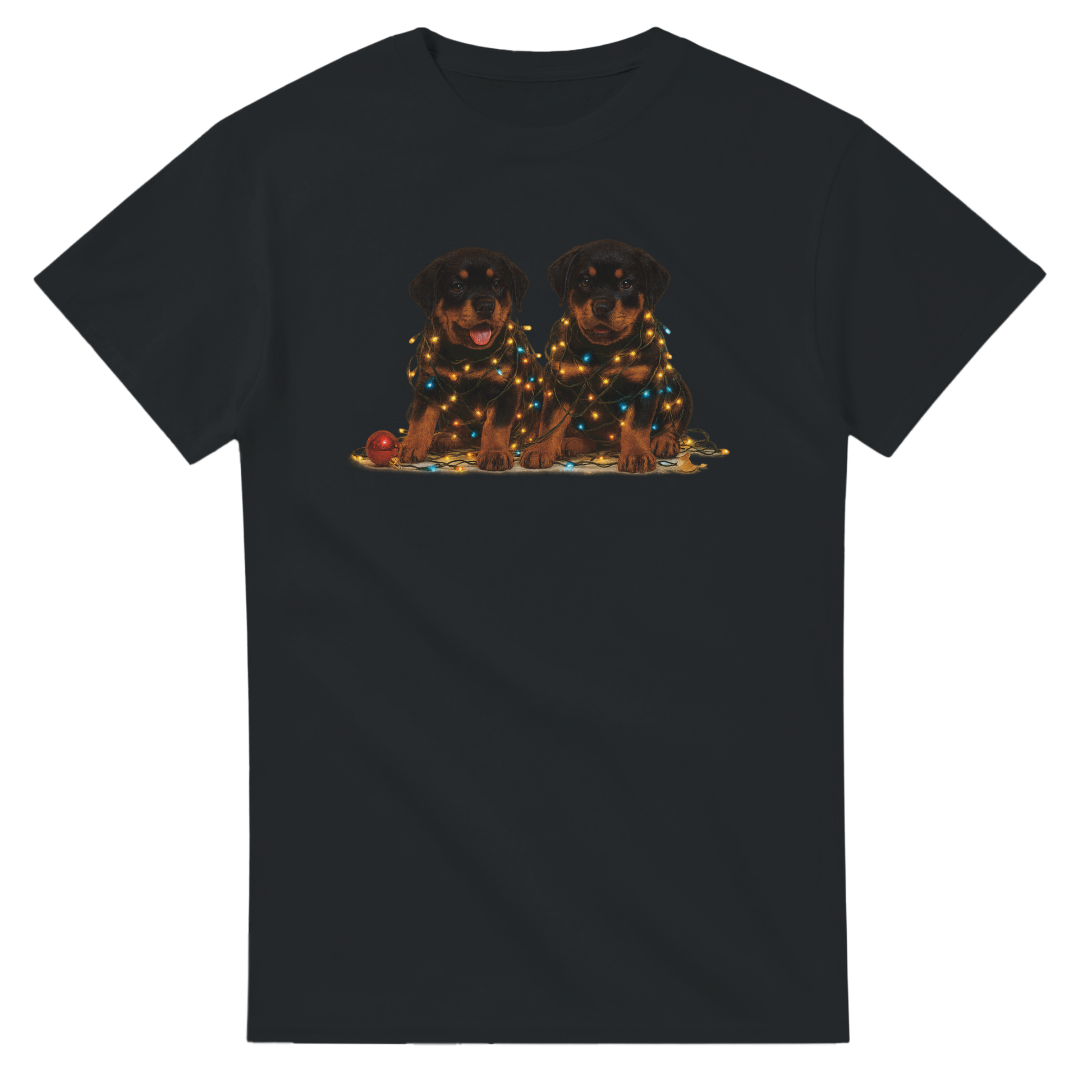 33e2b20e-a610-4fda-beb5-f71ee5f30ee3