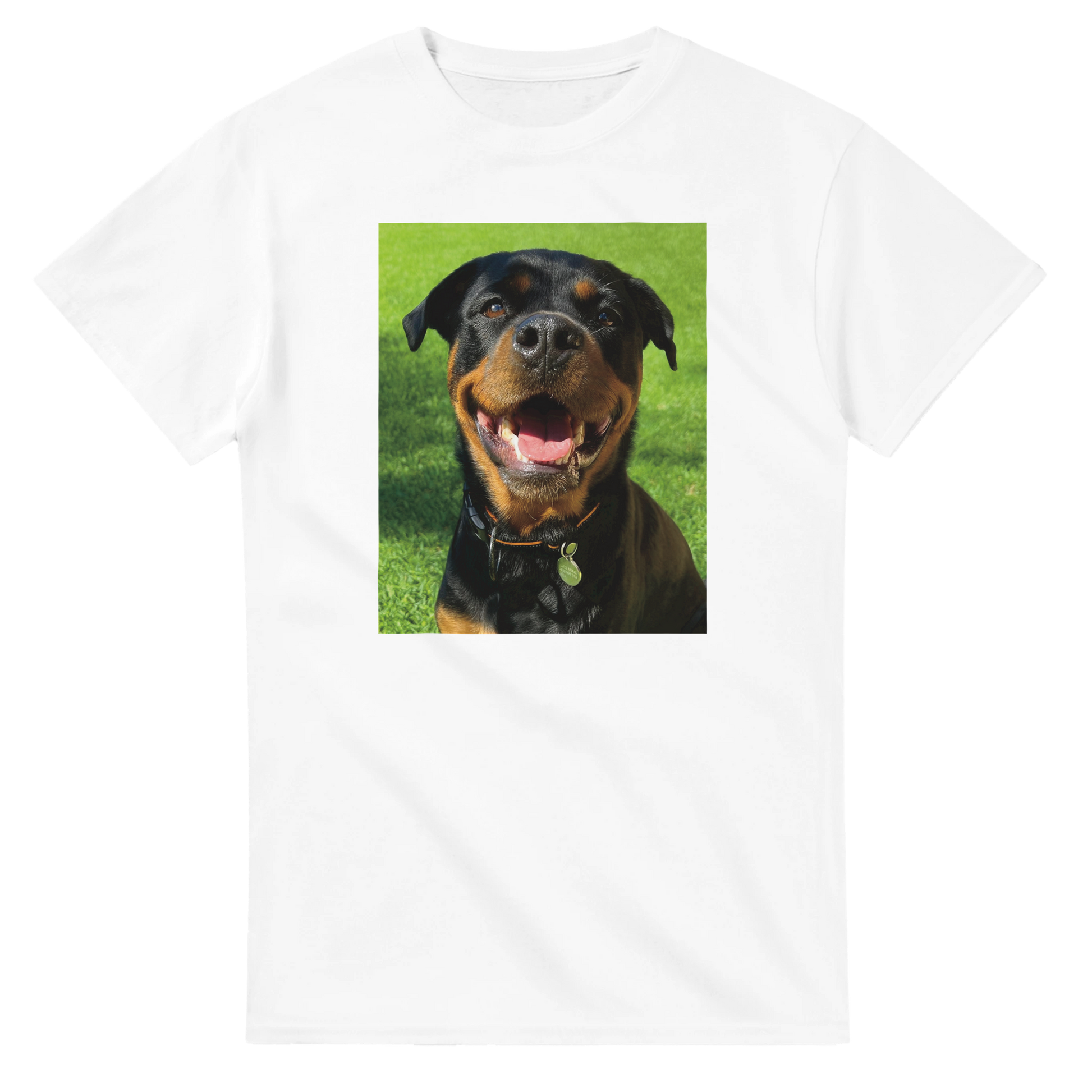 34370b5c-6869-49ae-b7a7-bc285e365249