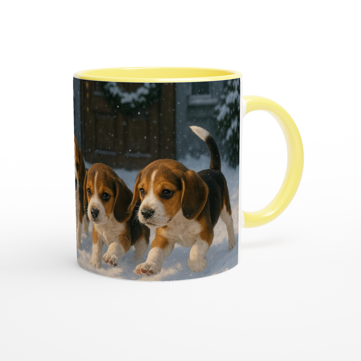 36d44504-dc37-4edd-8be1-34c8b8c32a52