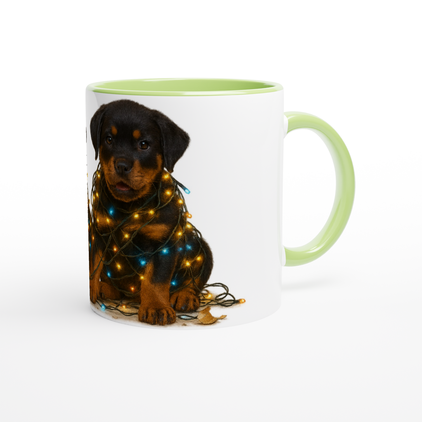 3ea66077-142f-4552-af7e-b38f0bbd68a5