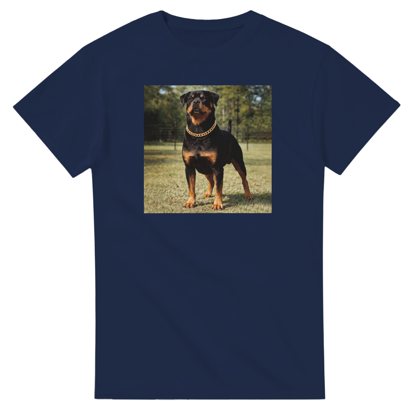 475549fd-54f5-43f8-800f-12ecb570737a