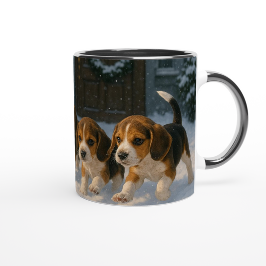 490c4b70-8990-4122-a84e-ab34ba2f1c04