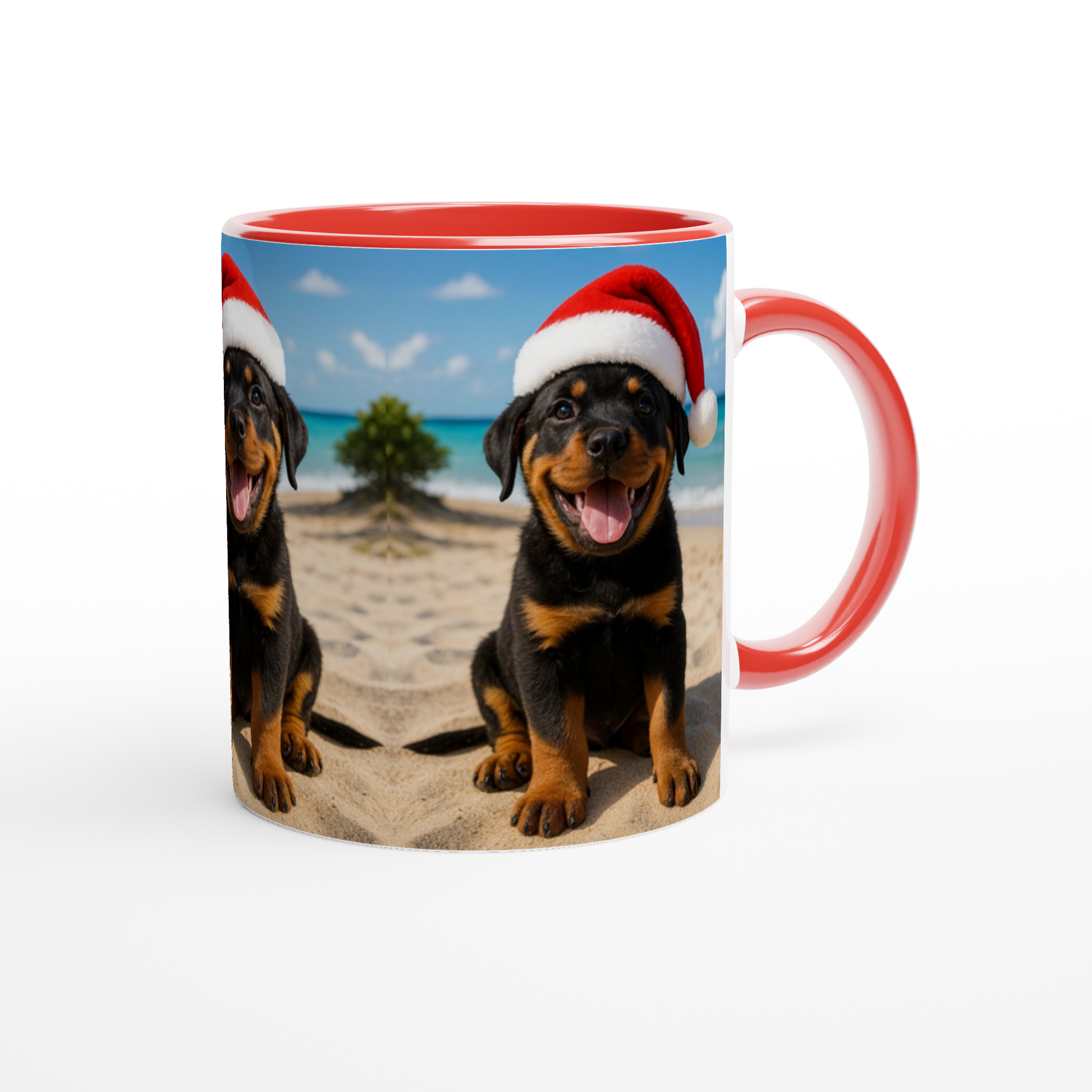 530ef073-5aa1-4fc4-88ed-7466637b2a06