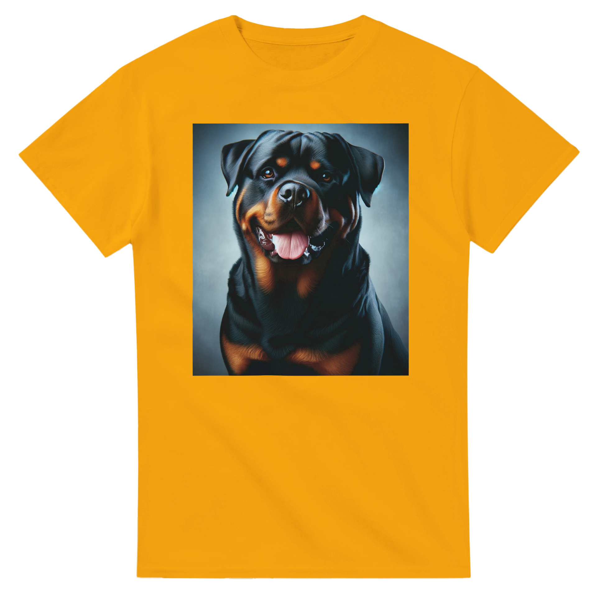 5fcc3d82-f522-4e54-84da-22baccc18cf7