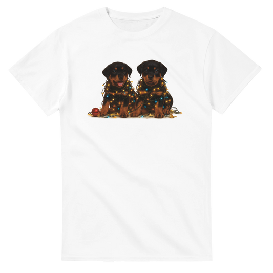 6a5452df-fd72-4869-a147-a272a14d2cd2