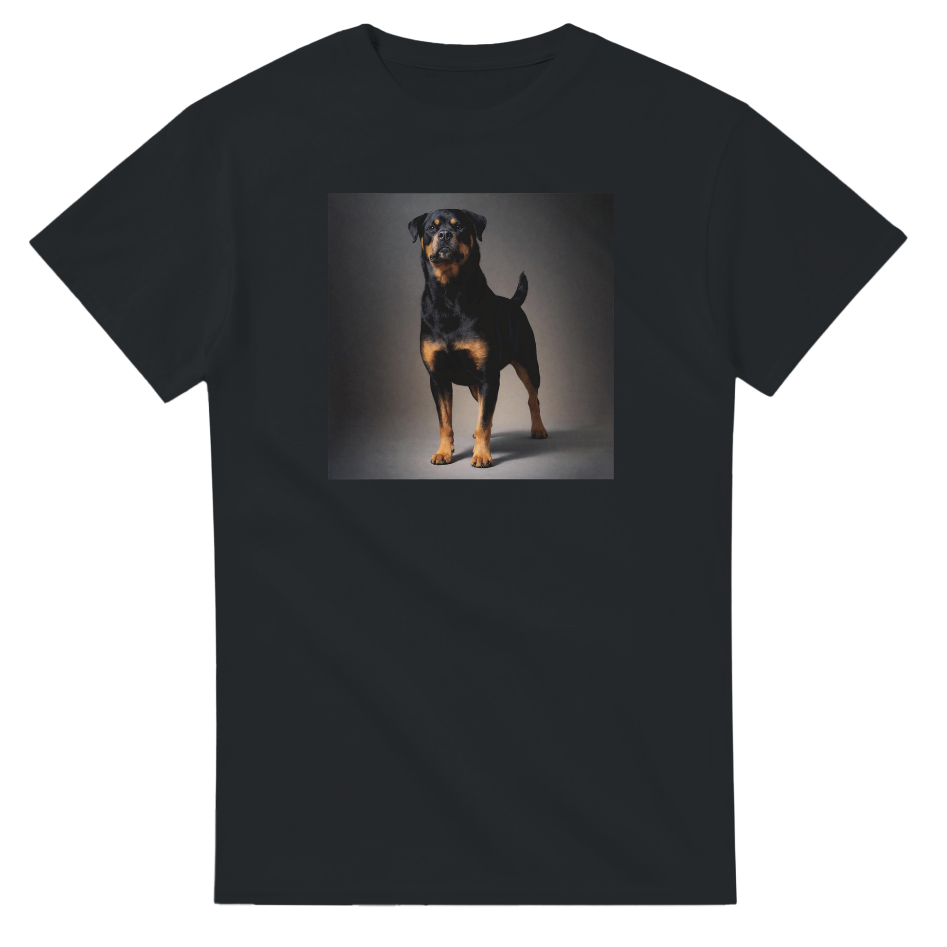 6be07caa-90da-4bf6-a094-d1d4604bd913