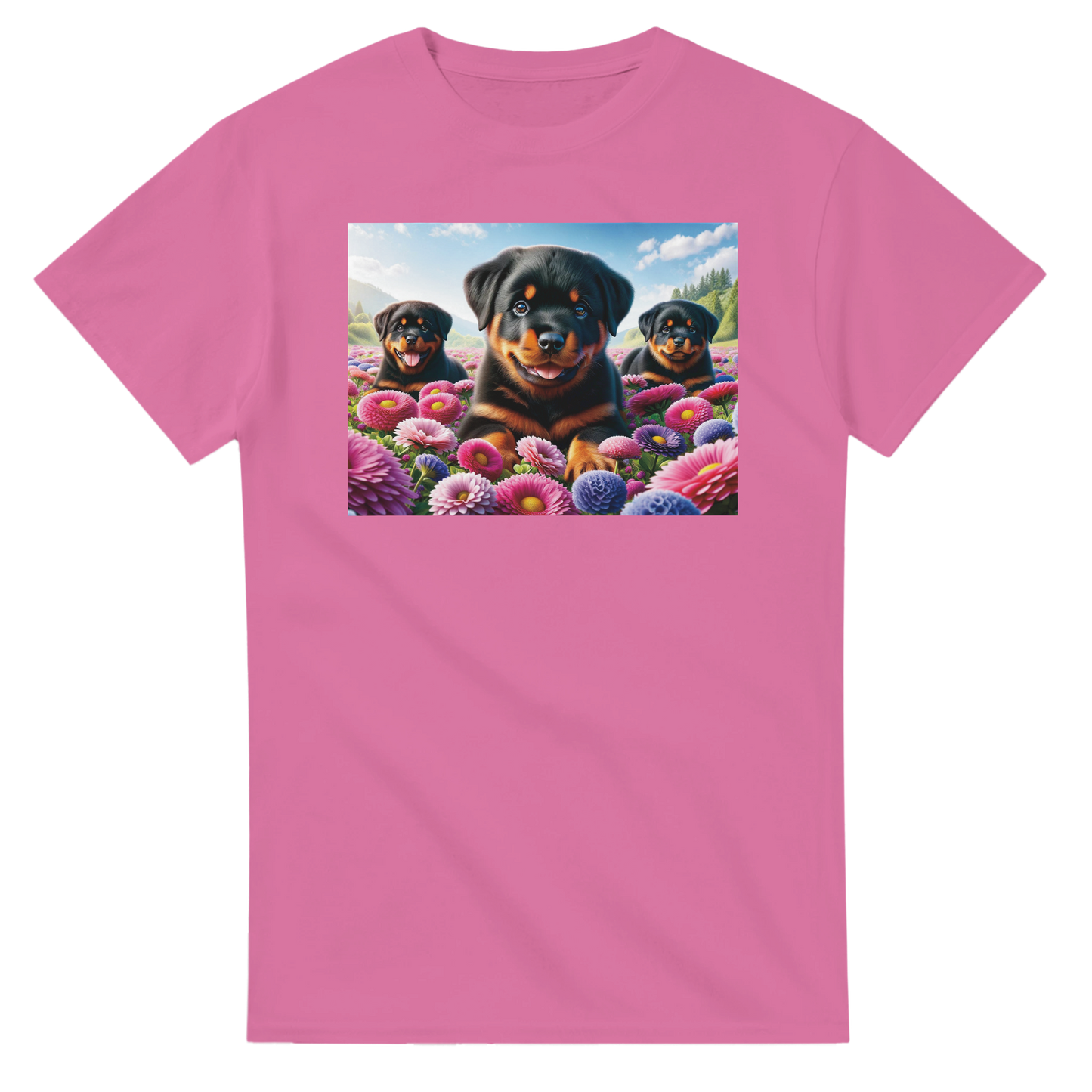 703ed964-c9a8-4a4f-9445-824d679d8387