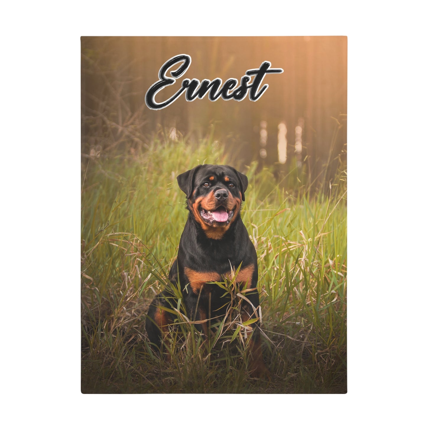 Ernest 2 - Plush Fleece Blanket