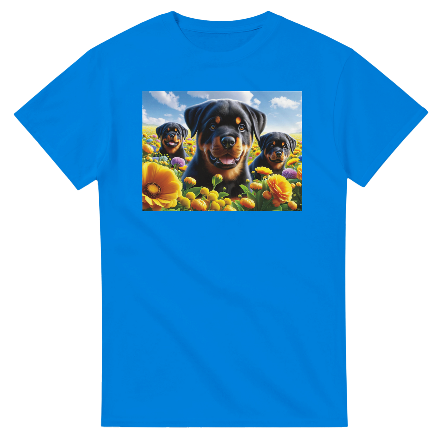 709e96da-05b7-4642-bec3-2a366b80f5d6