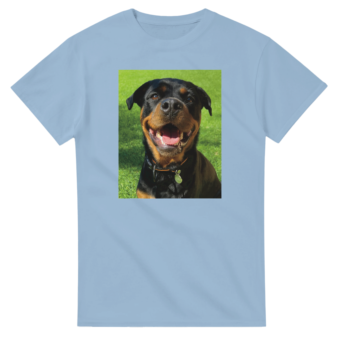 736f117d-0e70-4d89-a2c3-2c27023b4e6b