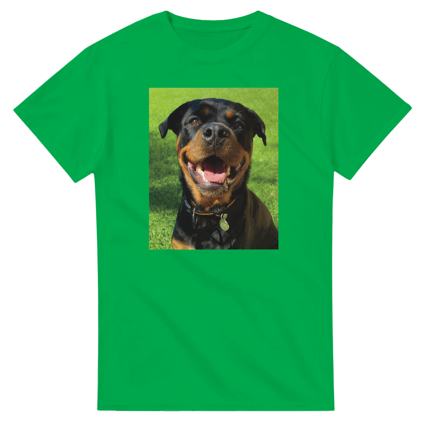 79ca90cd-7a74-496e-874f-593811b05e2f