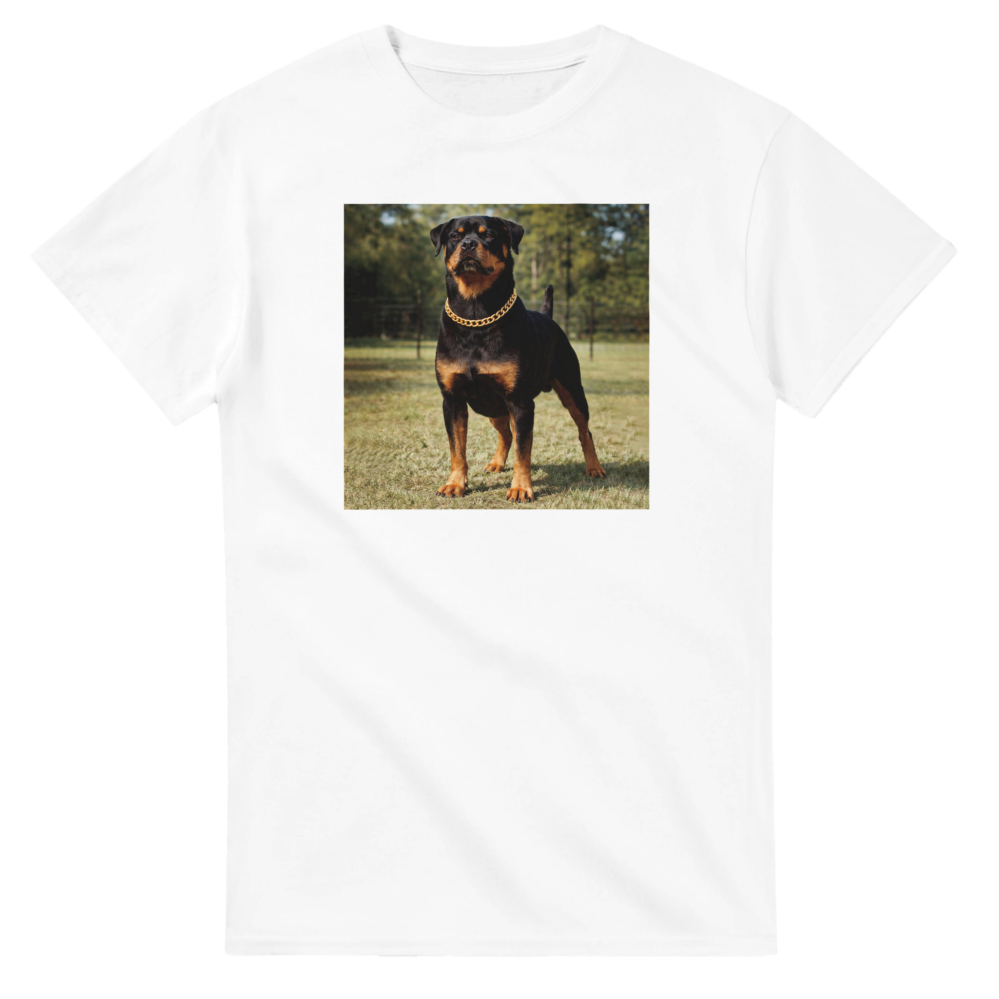 873b5271-296b-48d8-8b15-f6933ec7a962