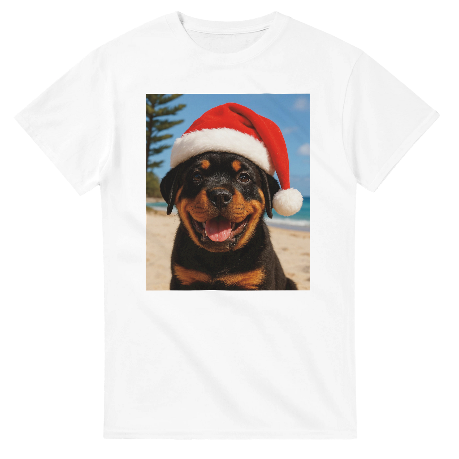 95b4b361-3bf0-43a3-af18-5d284477e705