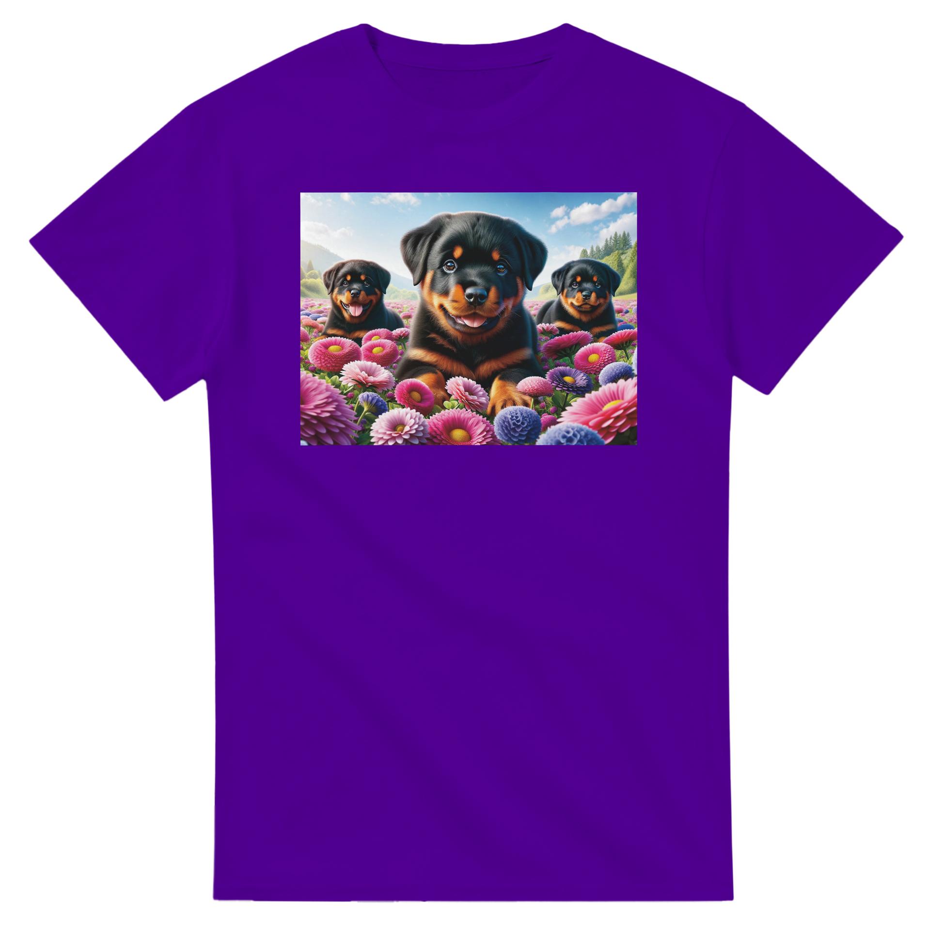 9a670ec1-ac27-4f42-b69d-3311ea29d7d5