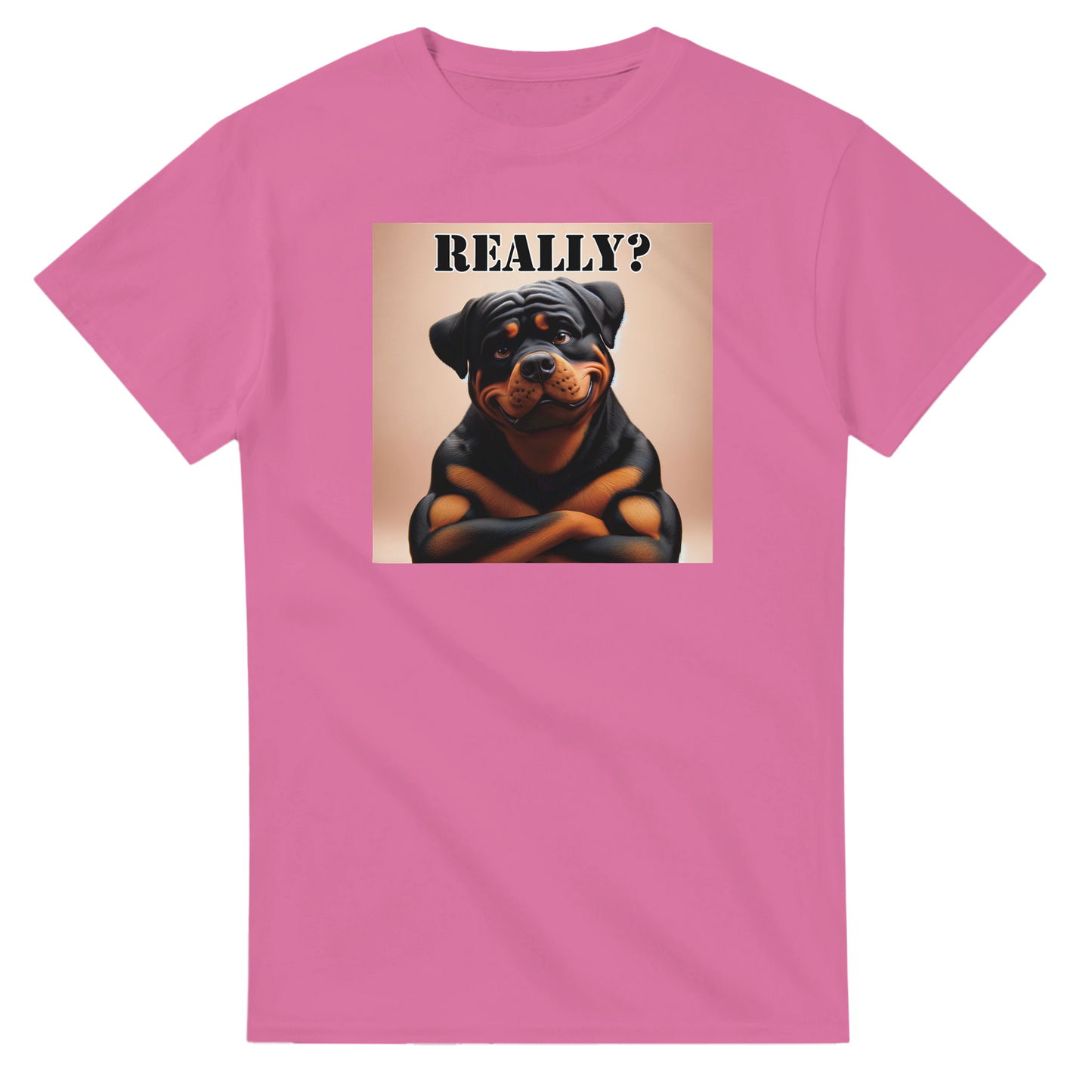 a4665e53-c116-40e1-936b-cc6a8cbdcd37