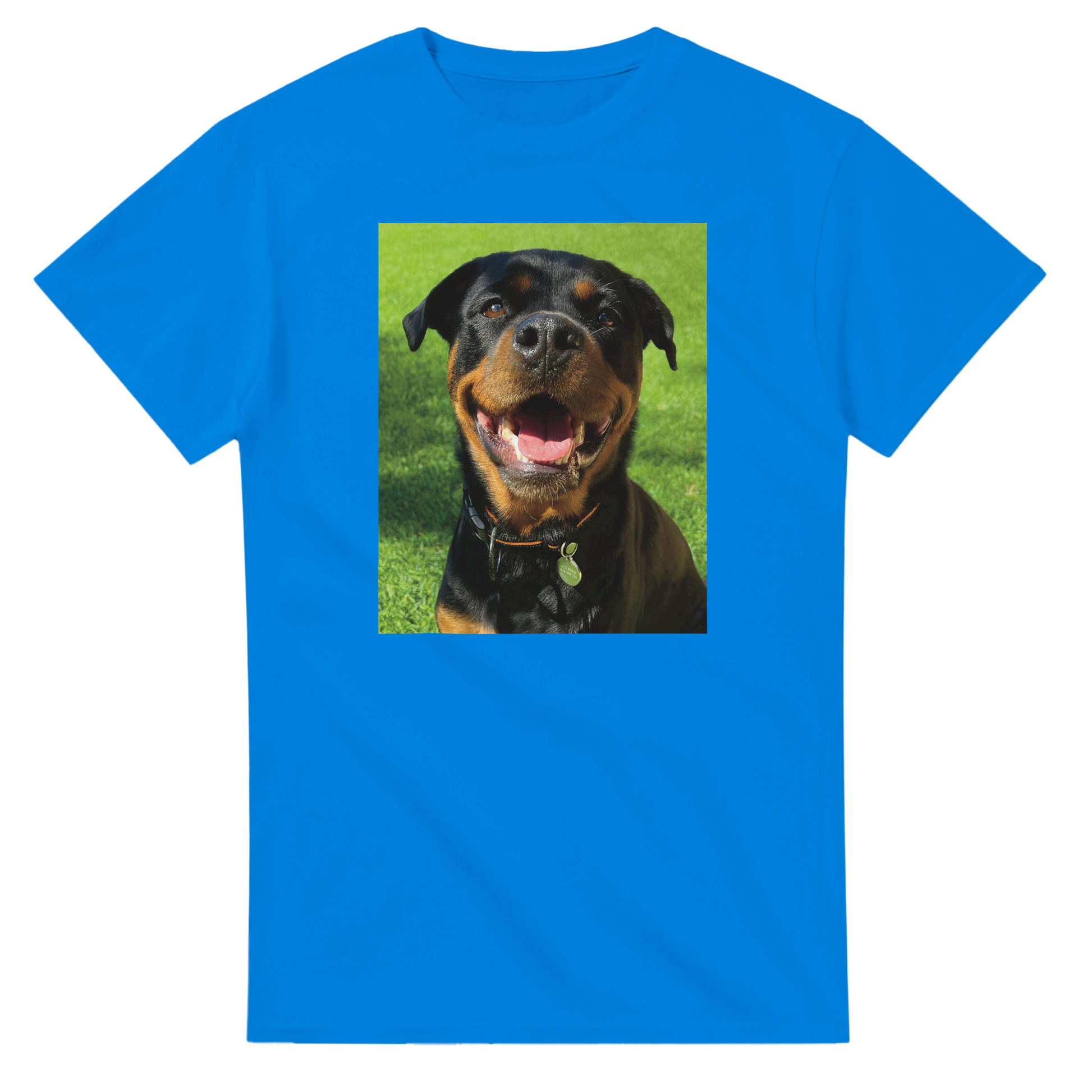 a6487568-a8be-4928-90c7-21769c07e1b7