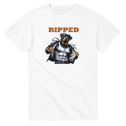 a973f0f3-4bac-4f84-ae68-727f52ca7a87