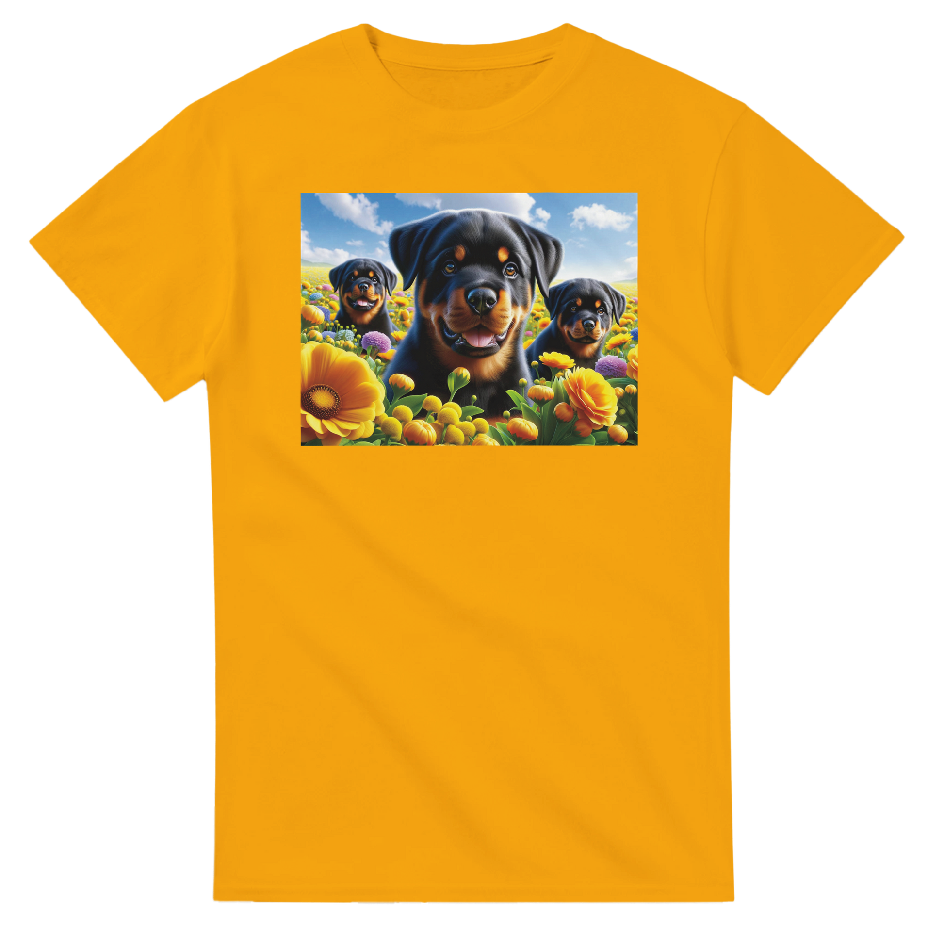 ad7bcafd-29f5-4a08-9f5f-d7567828e43a