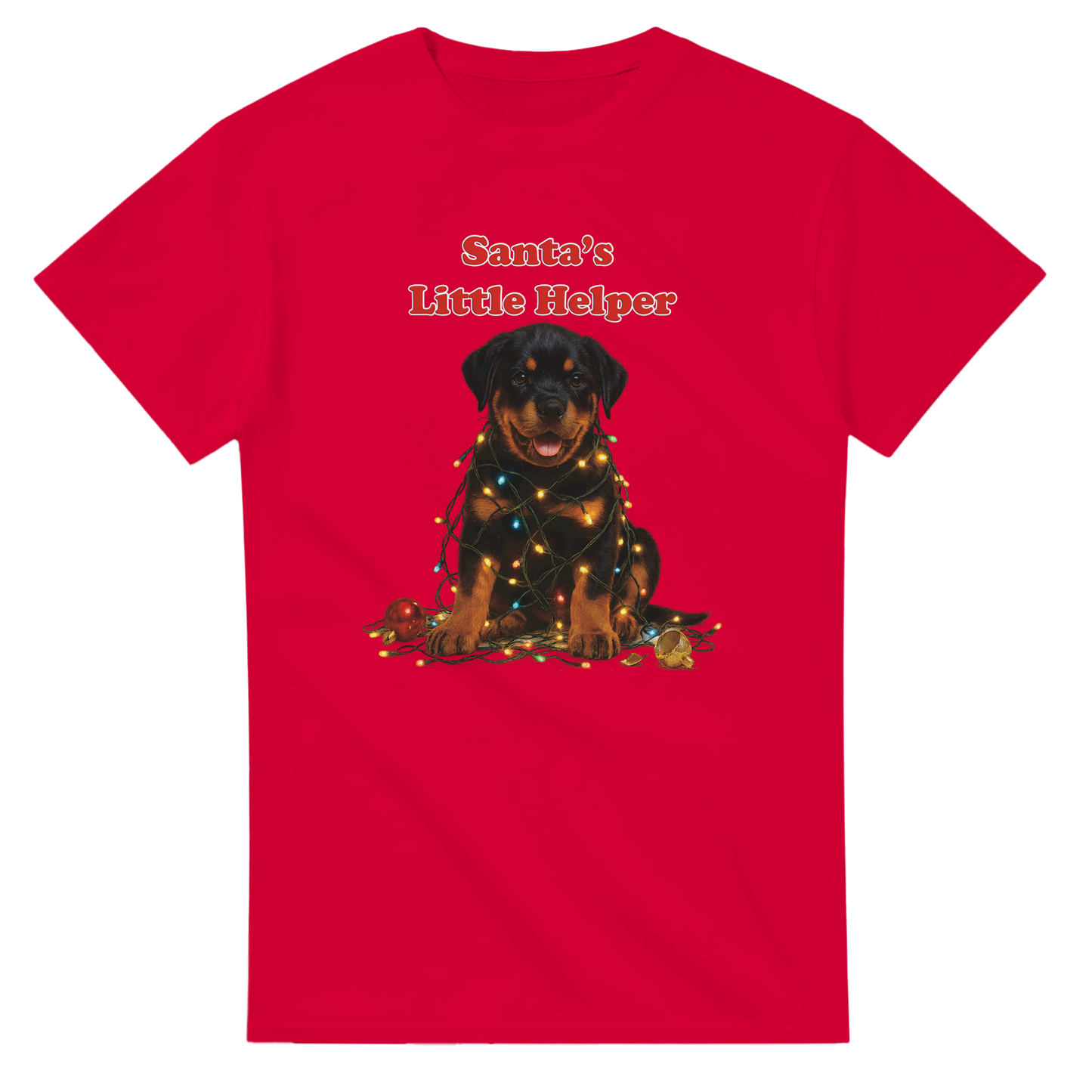 af255305-8cd0-4c02-88d7-4dca21c9d557