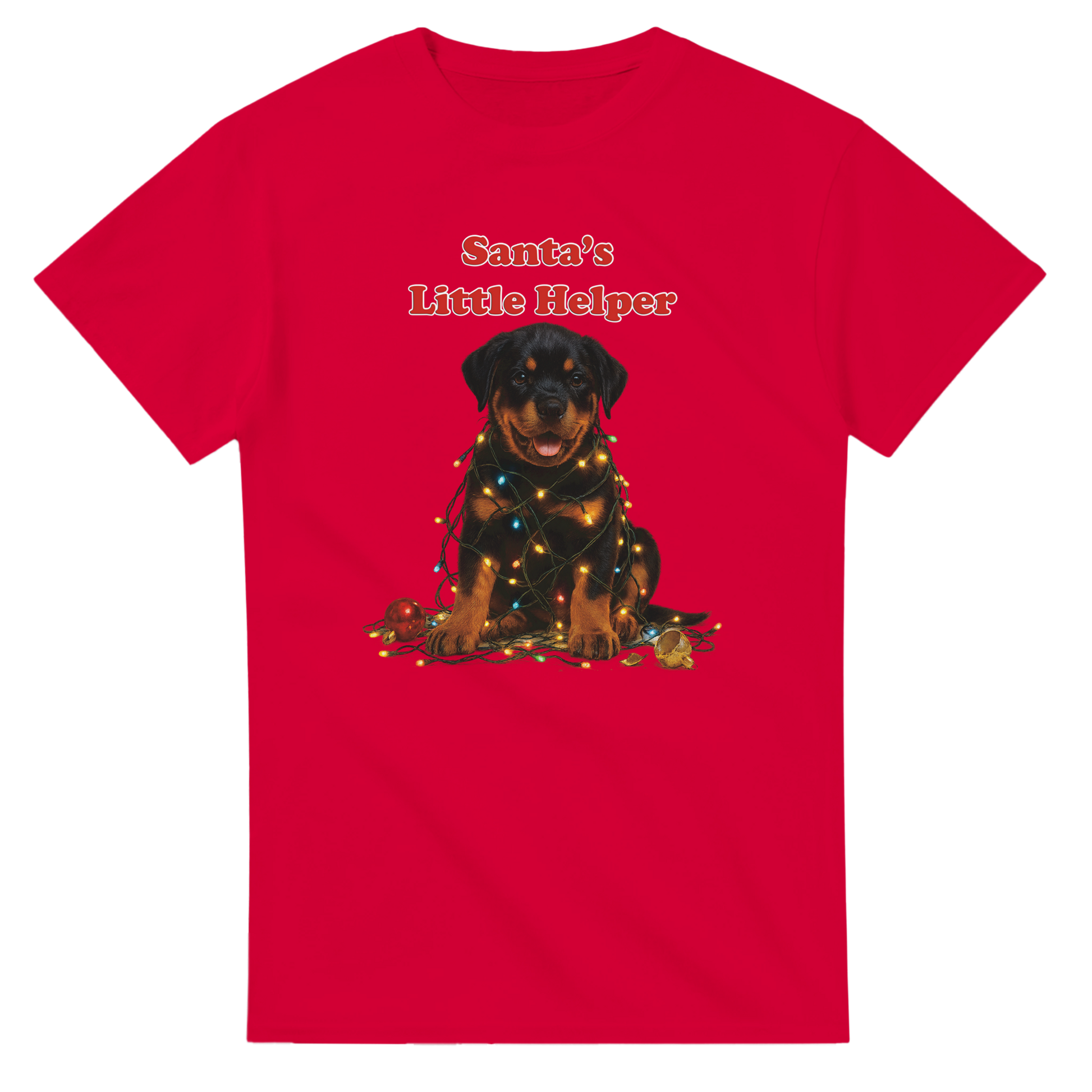 af255305-8cd0-4c02-88d7-4dca21c9d557