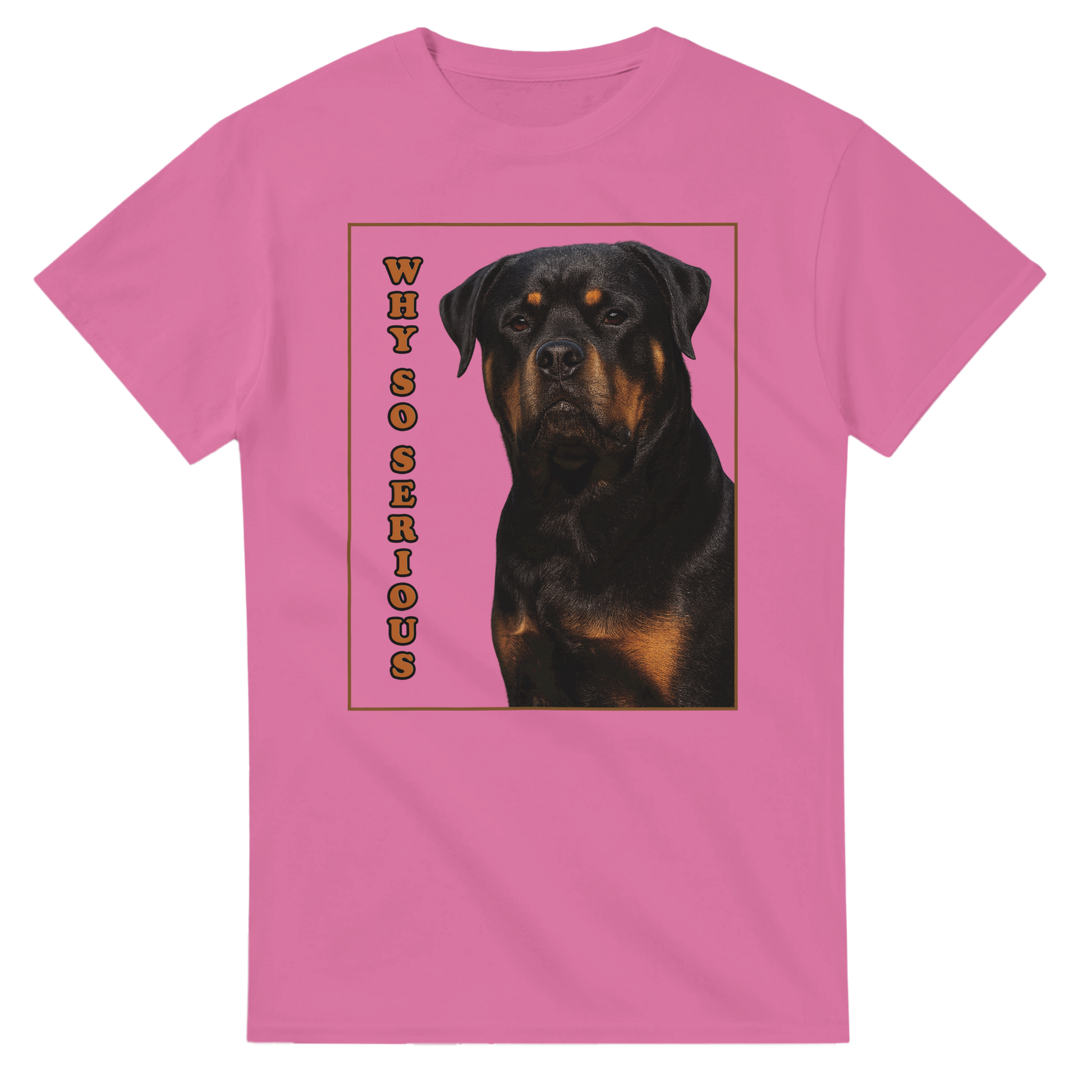 b5ac155e-1c3f-47c8-800e-bb58b4e8c420