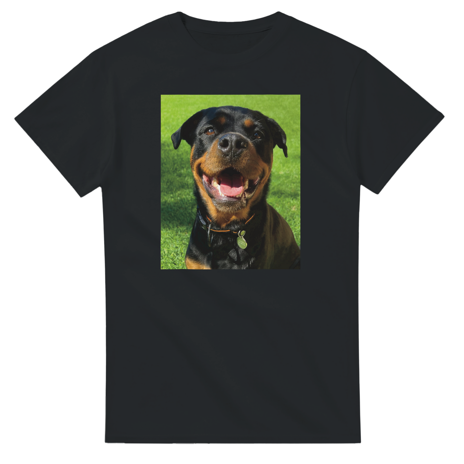 b94a71da-96d5-46bb-b312-32c6c3bc32e7